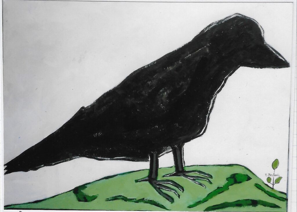 Oiseau noir sur un sol vert