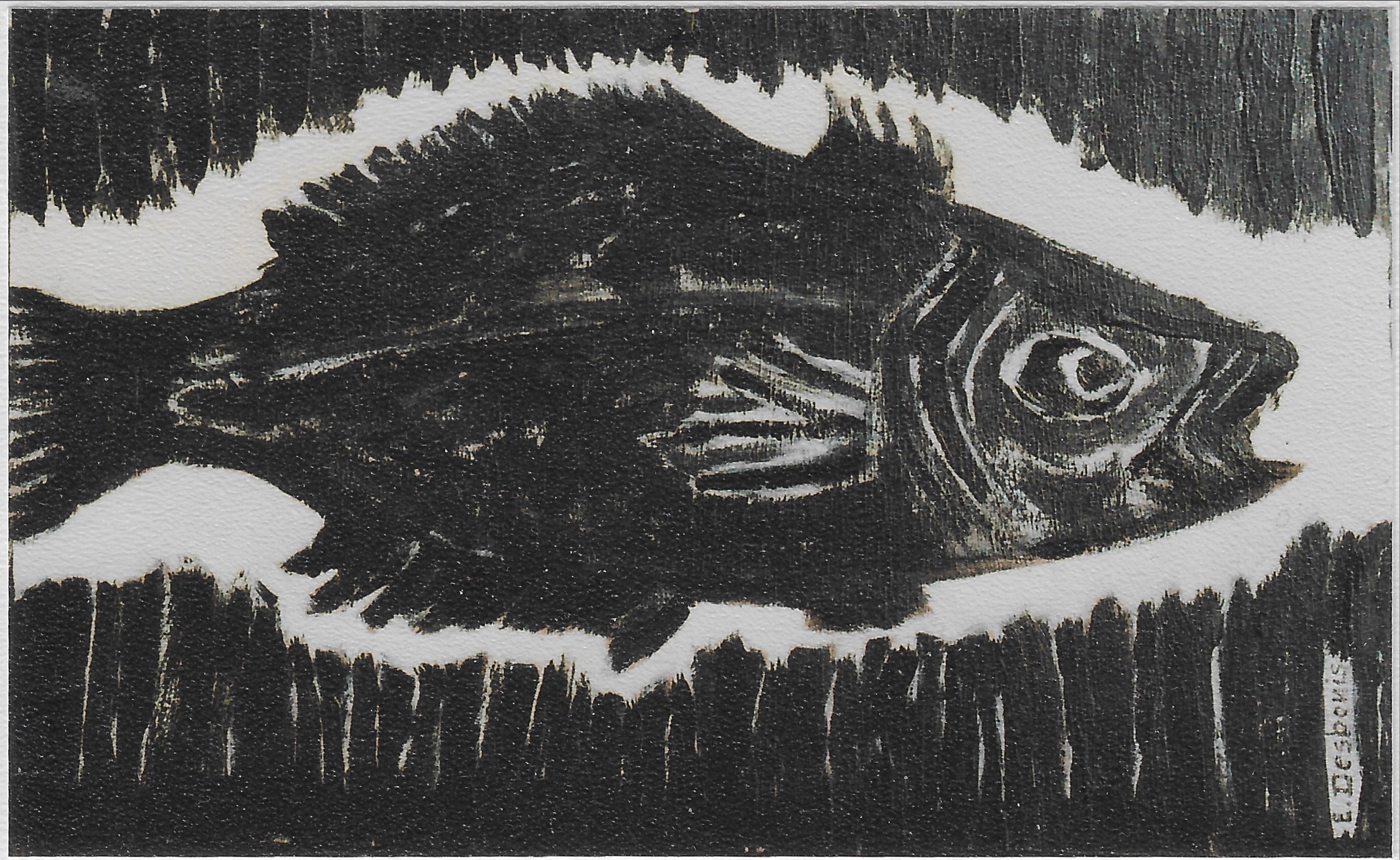 Poisson noir sur fond noir, halo blanc autour de lui
